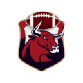 Bullspower Afc